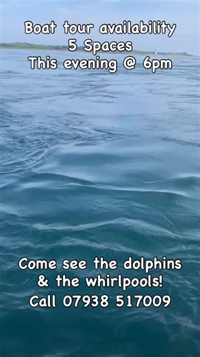 5 spaces available this evening on @strangfordloughboattrips come see the dolphins and the whirlpools. Call Andy on 07938 517009 to book. #boattours #strangfordlough #visitstrangfordlough | Strangford Lough Activity Centre