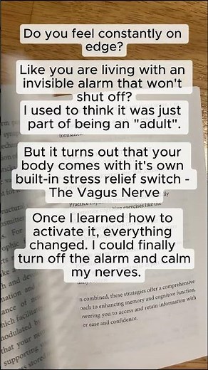 The Vagus Nerve Explained: What It Is, Why It Matters & How to Train It Today