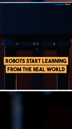 Robots Start Learning From the Real World