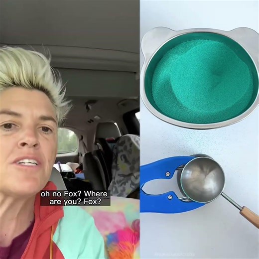 From our spring break trip #roadtrip #mschanggifed#minivanlife #momlife