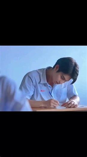 Bright and Brightwin: A Colorful Journey