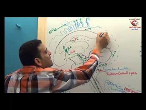 Dr Ahmed Elzainy C S F Neuroanatomy الدكتور احمد الزيني