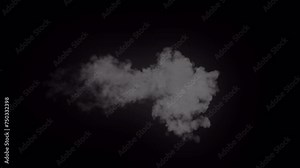 VFX Fire Elements Motion Graphics Pack is a stunning collection of realistic flame overlays that are perfect for enhancing your video projects with cinematic quality. Full HD resolution with alpha cha