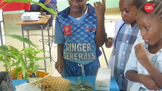 1.8K views | Ministry promotes careers in Agriculture, by joining the career in Agriculture Day activities at Holy Cross Roman Catholic | GIS Grenada | Facebook