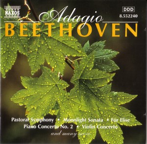 Ludwig van Beethoven - Adagio Beethoven