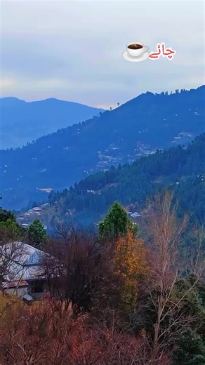 Exploring Kashmir: Culture and Scenic Beauty