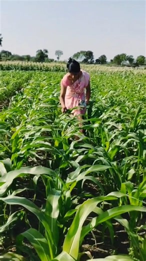 शेतकऱ्याला देत नाही कोणी पोरी #farming #शेतकरी #simplesimplicityyogita