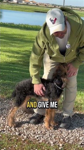 "Puppy Training: How to STOP Puppy Biting and Nipping in MINUTES "