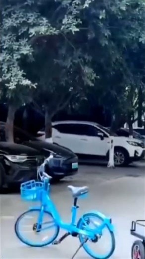 This Smart Robot Follows You and Carries Your Luggage