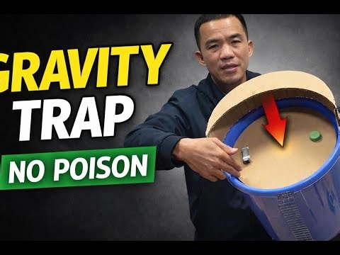 Scientific DIY Mouse Trap Using Gravity Physics | Smart & Safe #rat