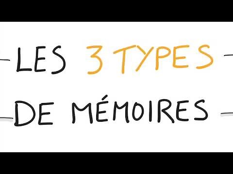 Neuroscience: Your 3 Types of Memory
