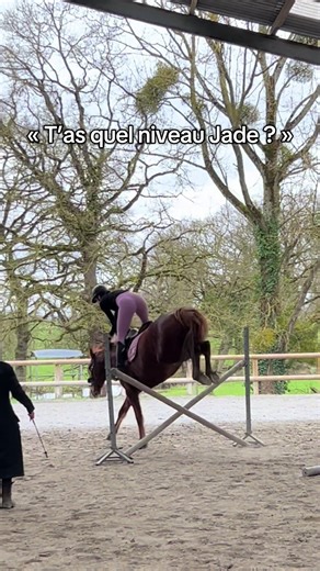 Et oui 🫡#cheval #cavaliere #saut #equitation #cavalier