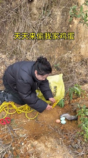 Smart Farming Amazing Bird Trapping Technique #snake