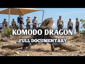 The Last Dragon on Earth | Komodo Documentary