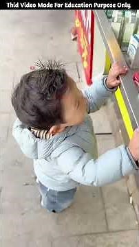 Building Wooden Log Cabin in Forest 🌲🎈 | Survival House Step by Step"8 #shorts #amazingfacts