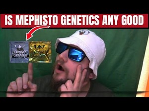 Is Mephisto Genetics Any Good?
