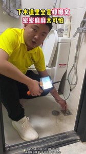 你被蟑螂咬过吗？你见过蟑螂咬人吗？被蟑螂咬的后果太可怕了 #蟑螂 #蟑螂药 #灭蟑螂 #蟑螂大战