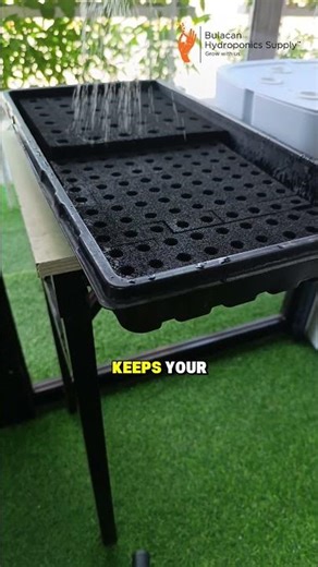 Keep your foam hydrated, even if it's just DIY! 🌿