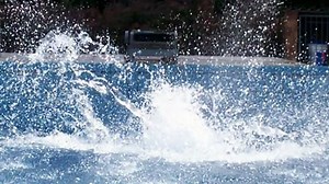 Big Swimming Pool Splash Sound Effects