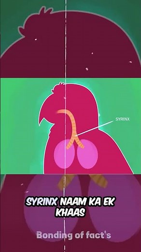 Parrots Talking Like Humans: Science or Magic?