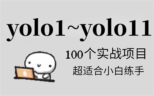 【YOLO最全实战项目】100个练手项目合集，学习计算机视觉图像处理必备，环境安装+推理+自定义数据集搭建与训练，入门到精通！