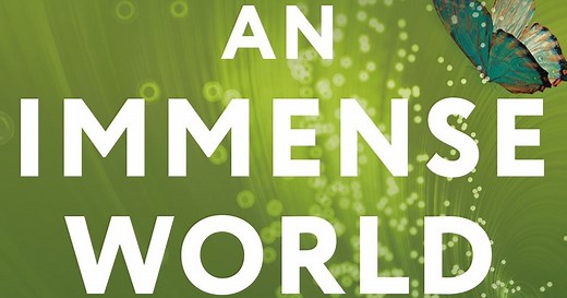 Ed Yong’s ‘An Immense World’ expands our understanding of the web of life