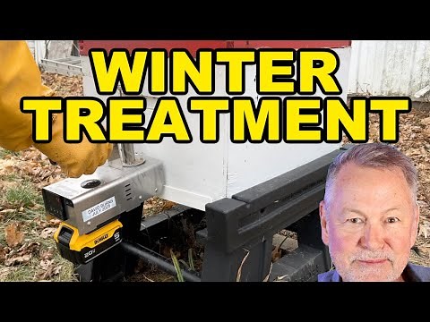 Beekeeping: How To Treat Bees in Winter Without Opening the Hive