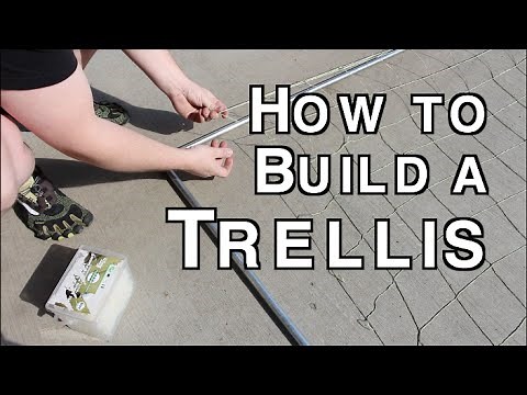 How to Build an Trellis using Electrical Conduit Simple and Cheap
