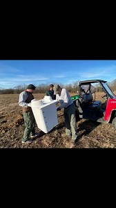 44 reactions | Did you know that Barn Owls are endangered in...