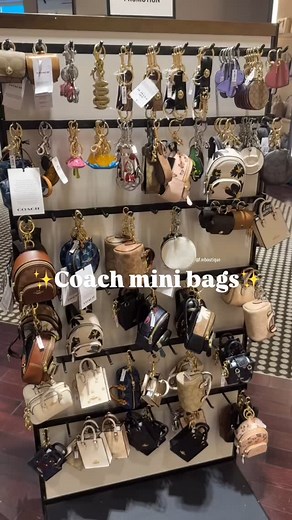 1.6K reactions · 42 comments | Cuál es la que te gusta más de todas? Yooo amo la mini backpack le caben muchas cositas﫶 #coach #denim #bag #bags #minibags #pretty #cute #lovely #mexico #mty #nl | F.M Boutique | Facebook