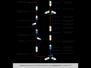 RNA extraction from blood TRIzol Method with Demo