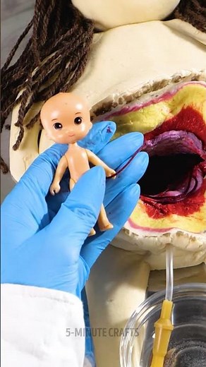 Birth explanation for children 🤰