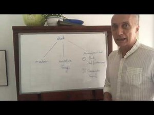 (B1-17) doch - 三個意思+用法