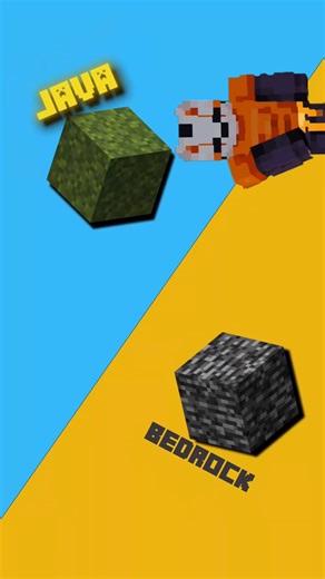 Minecraft Java Edition Vs Bedrock Edition 💀 #trendingshorts #shortvideo
