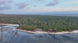 Drone shot of coral reef and dense jungle of Alas Purwo National Park on tropical Indonesian island, Java, moving forward and showing the edge of a surf camp