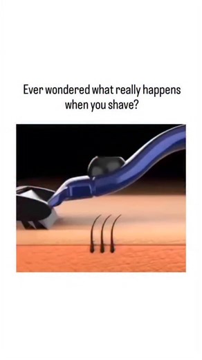 noba on Instagram: "The post shares an animated video depicting the microscopic mechanics of shaving, where a foamed razor glides over skin to slice hair shafts cleanly above the follicle, forming tapered ends that minimize post-shave friction and ingrown hair risks. , known for educational animations on daily phenomena, the video drew 2.7 million views and 300 replies within a day, many discussing personal shaving mishaps in multiple languages. Aligning with peer-reviewed findings, a 2024 study