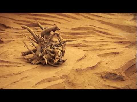 Tao Te Ching by Lao Tzu Chapter 49, No mind of her own