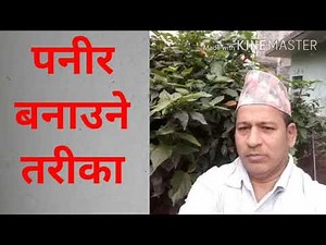 Panir recipe.how to make panir. पनीर बनाउने तरीका । पनीर कसरी बनाउने।