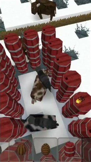 cows and bulls and wolf in killed tnt exolution🤣🤣#minecraftsurvivalseriesepisode1