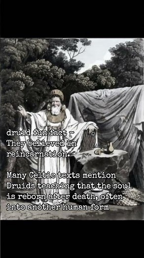 facts about the druids #druids #celtic #norse #norsemythology #viking #esoteric #mysticism