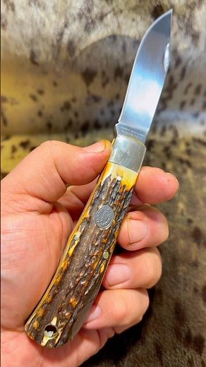 Stagurday: This Moore Maker Stag Knife Is a Texas Work of Art 🔪🤠 #stag #hunttx