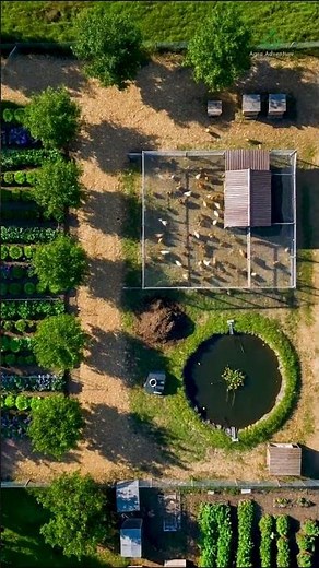 Grow $50k of Food on 1 Acre? Amazing Integrated Design! 💰