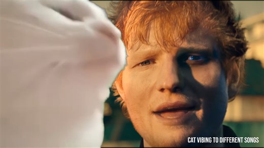 my bad habits lead to you 😏 Ed Sheeran - Bad Habits | Vibe Cat
