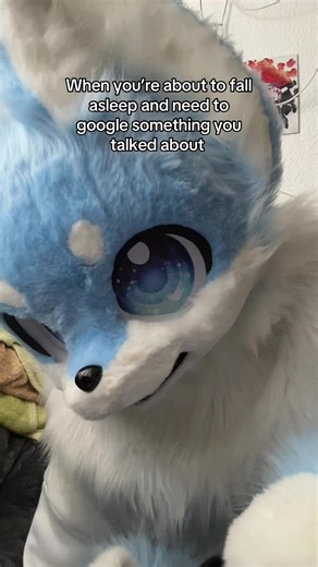 Why I always search something when I fall asleep? #furry #kemono #google #fyp #cute