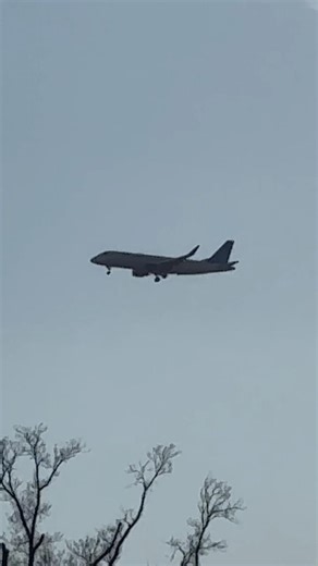 United Airlines E175LR River Visual Landing In DCA! #viral