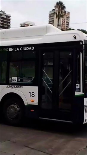 Linea 65 Coche 18 (Version Short)