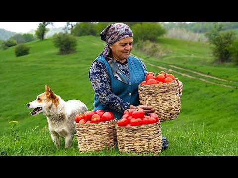 Homemade Ketchup Recipe