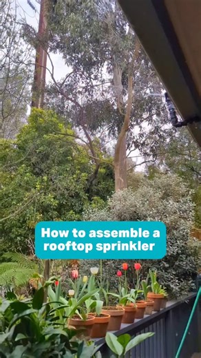 🔥 Bushfire season is here! Damien uses rooftop sprinklers to help protect his property in the event of an ember attack. 💦 In this video he shows you how to assemble A rooftop sprinkler. 🌼 Follow us @homehardwareblackwood for gardening tips and general gardening advice, especially if you live in the Adelaide Hills. 👉DM to buy or call 8278 2171 to order. We ship Australia wide. Sunday 9 am–5 pm Monday - Friday 8:30 am–5:30 pm Saturday 8:30 am–5 pm 🛻 We offer FREE delivery within 10 km. T's an