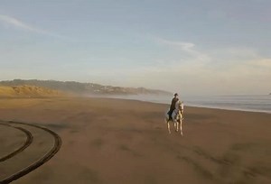 6.3K views · 307 reactions | Galloping the black volcanic beaches of New Zealand on her stationbred gelding, Rua (two in Maori). This is freedom. // @artisanbaby.nz filmed by @baylysophie | Dreamy Ponies | Facebook