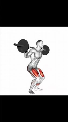 Barbell Back Squat | Build Bigger Quads, Glutes & Leg Strength 🏋️🔥